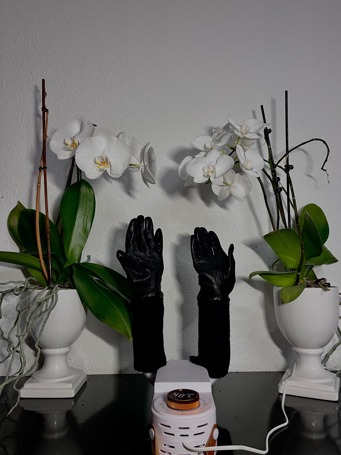 Smart Dryer - Hygienic Fast Drying Solution for All Shoes 15073636811078-1