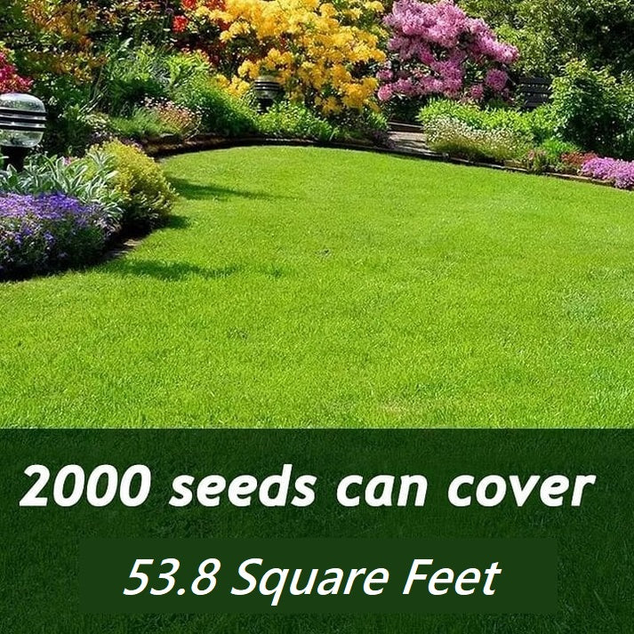 Eco-Friendly Seeds for Lush Green Lawns  15053420560710-1