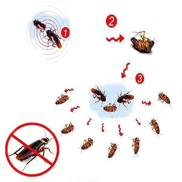 3pcs Cockroach Killing Gel Bait 10g – Powerful Pest Control 10g