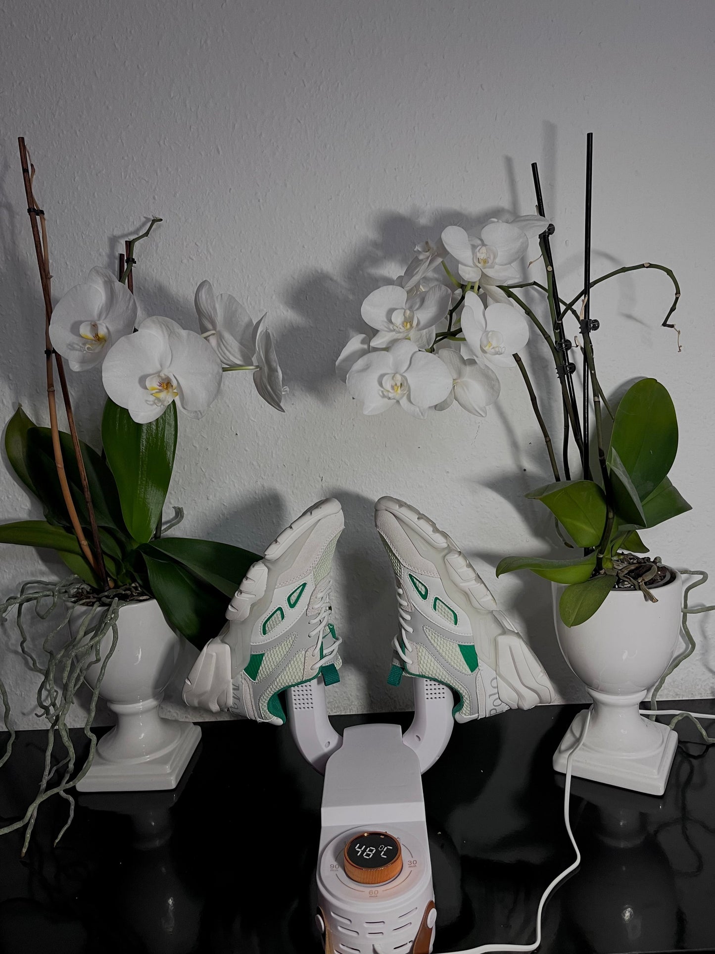 Smart Dryer - Hygienic Fast Drying Solution for All Shoes 15073636811078-1