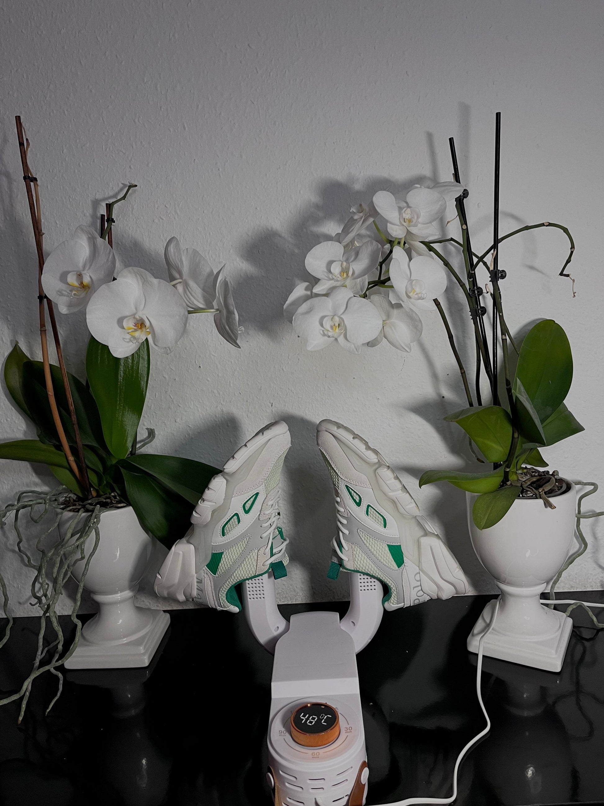 Smart Dryer - Hygienic Fast Drying Solution for All Shoes 15073636811078-1