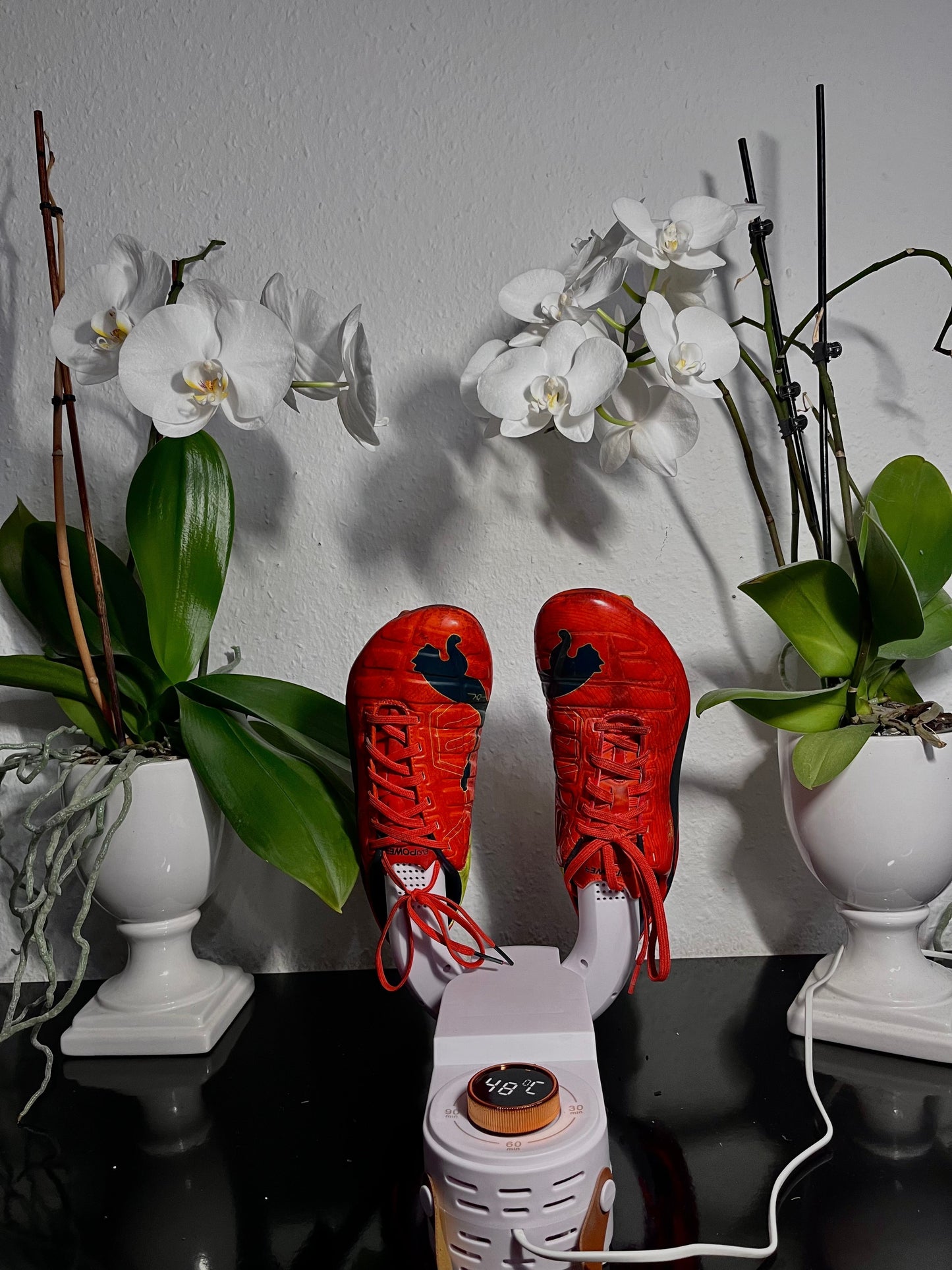 Smart Dryer - Hygienic Fast Drying Solution for All Shoes 15073636811078-1