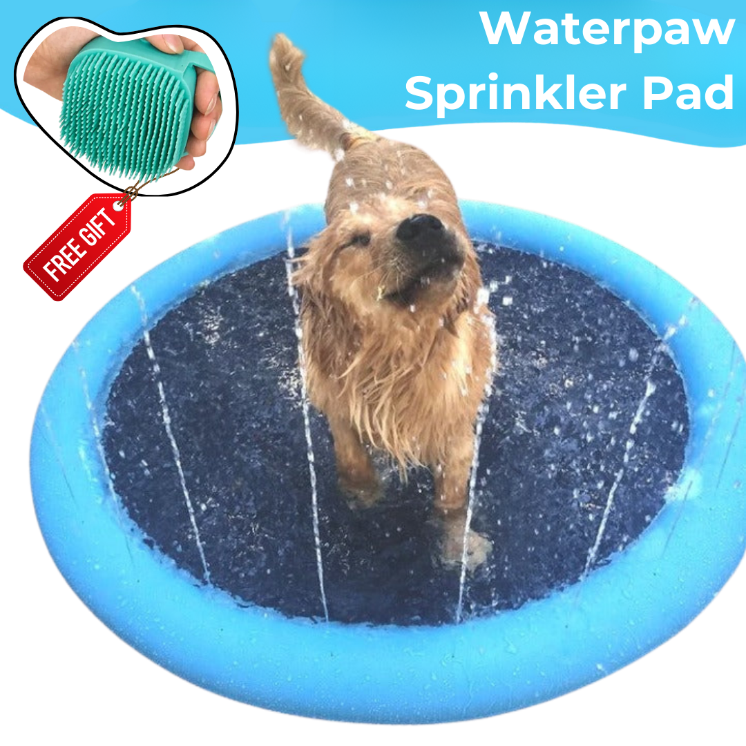 Sprinkler Pad For Dogs Dog Brush 9494260252974-1