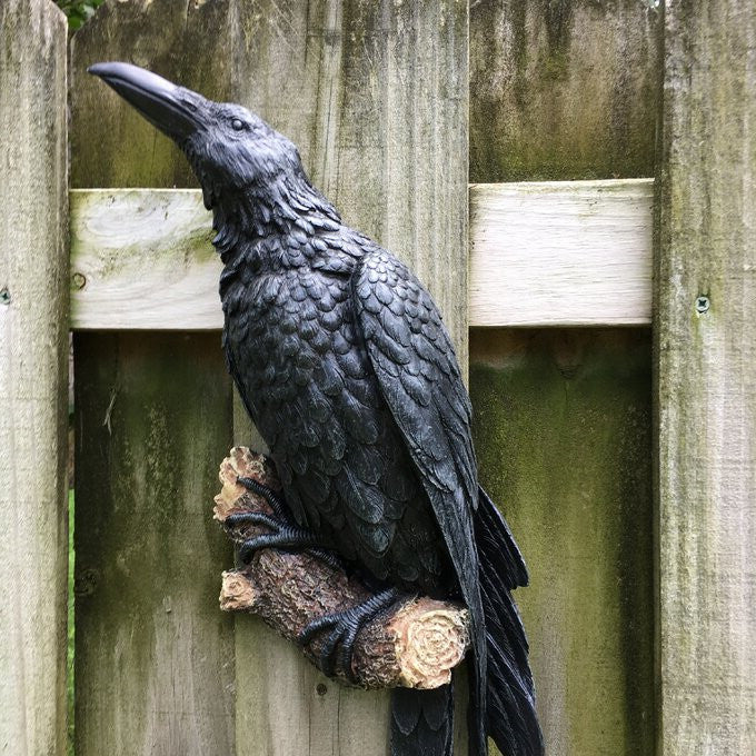 Raven Crow Wall Sculpture Resin Handcrafted Gothic Indoor Outdoor Decor 8545266073902-1