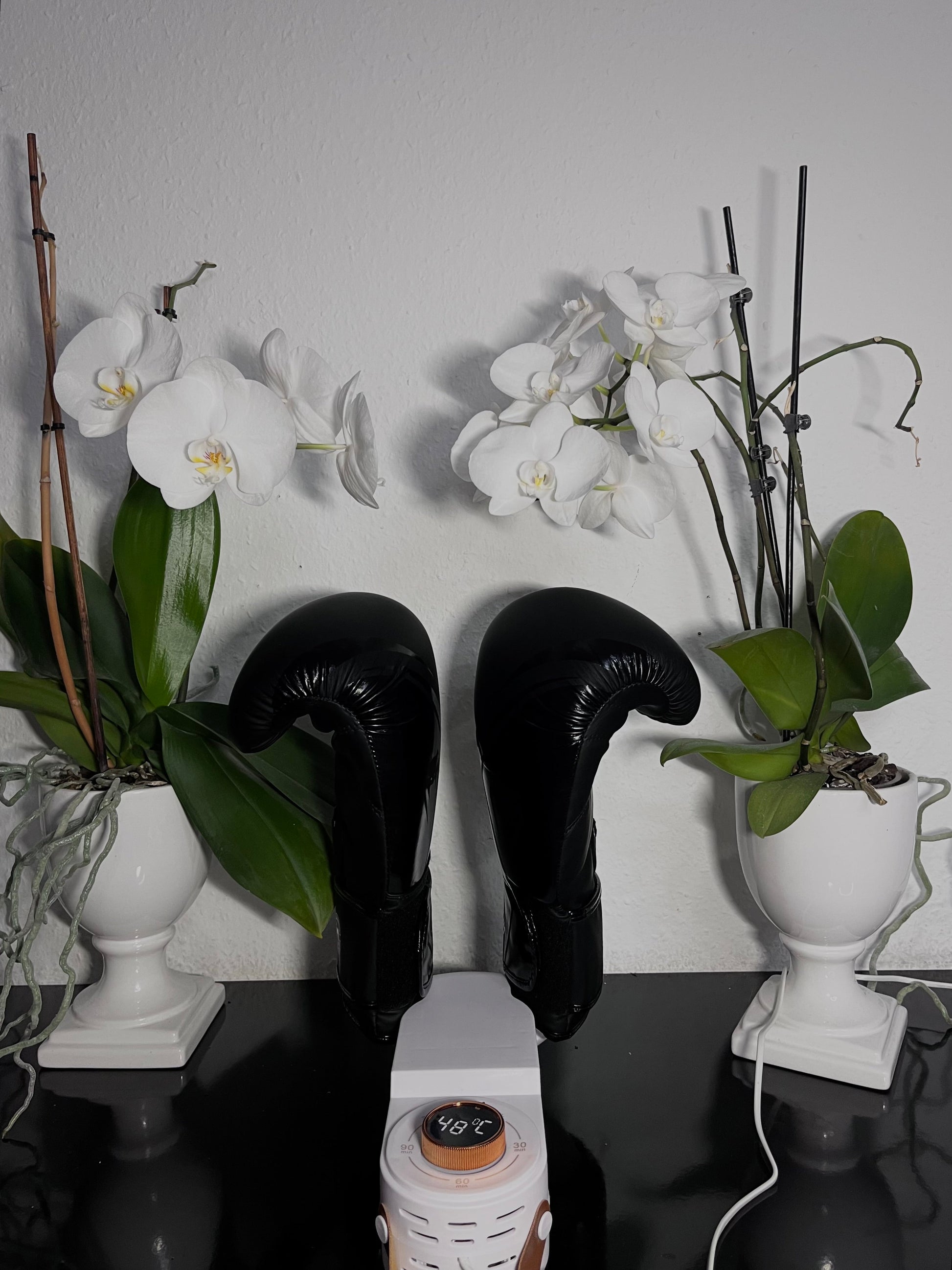 Smart Dryer - Hygienic Fast Drying Solution for All Shoes 15073636811078-1