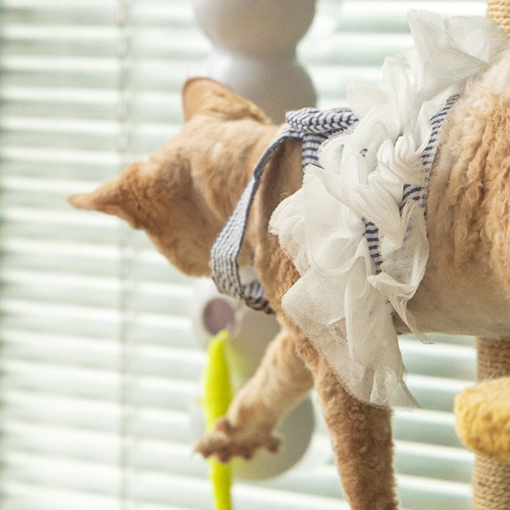 Ignite Your Cat’S Wild Hunt For Endless Play And Joy 11689711108364-1