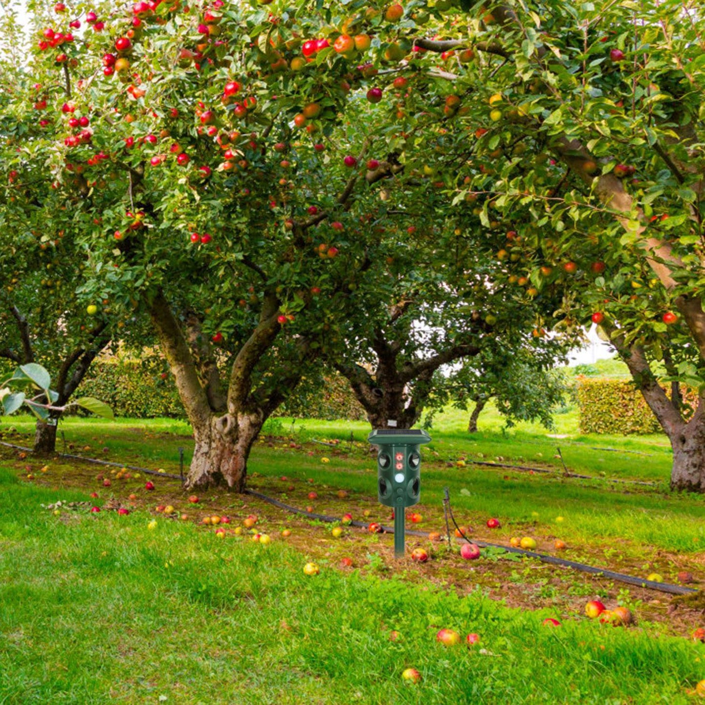 Solar Ultrasonic Animal Repeller Solar Powered Animal Repellent Chaser With PIR Motion Sensor IP54 Waterproof Sound Flashing Light For Deer Raccoon Squirrel Mice Snakes Cat Dog 9018880721116-1