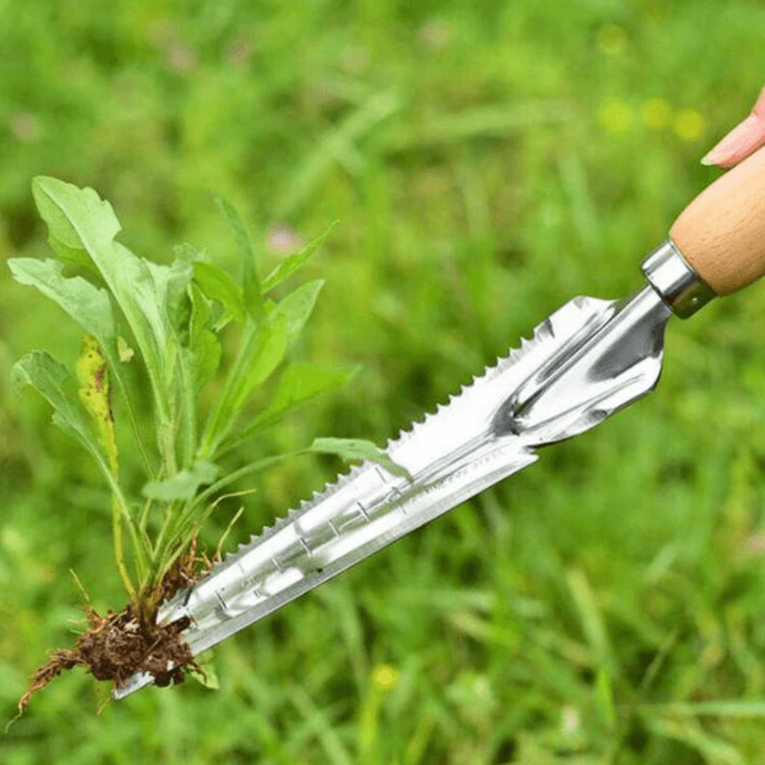 Stainless Steel Garden Tool Removes Deep Roots And Tough Weed Easily 14985615245638-1