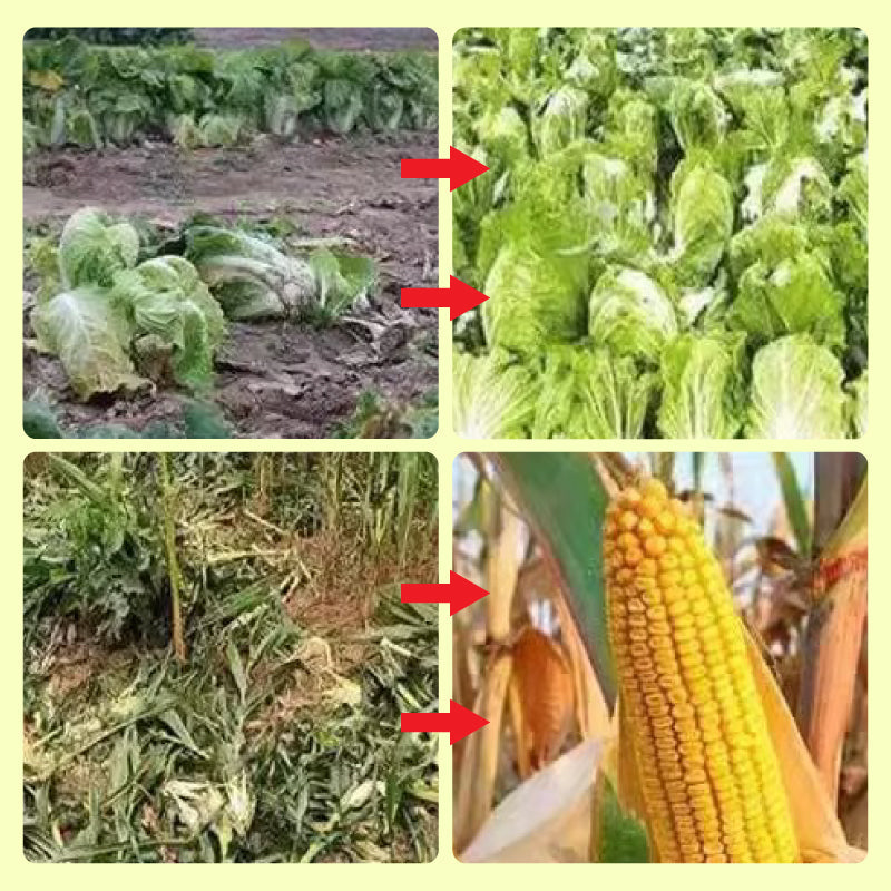 Solar Animal Repellent Device | Flashing LED & Sound Alarm | Outdoor Weather-Resistant 15152383918406-1