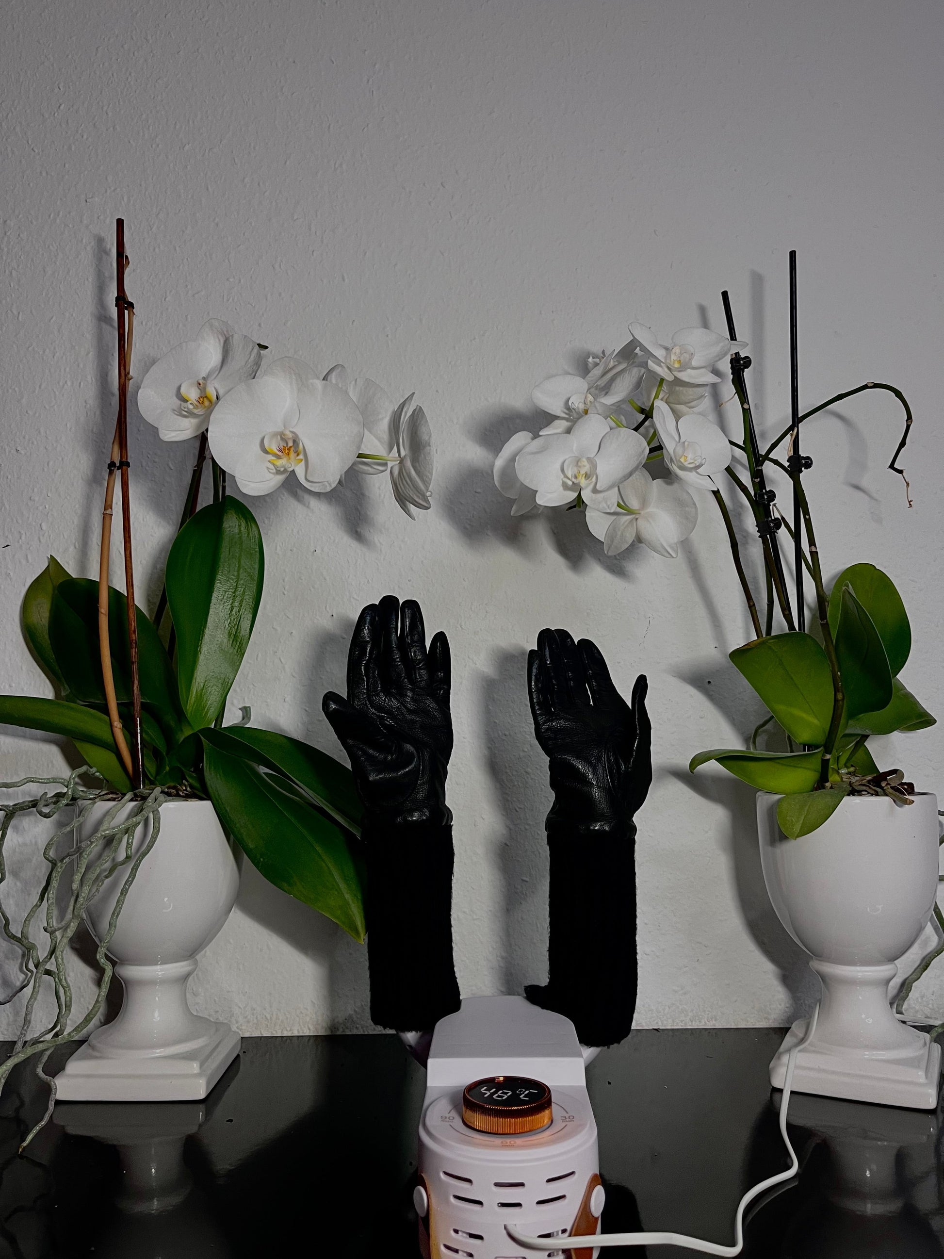 Smart Dryer - Hygienic Fast Drying Solution for All Shoes 15073636811078-1