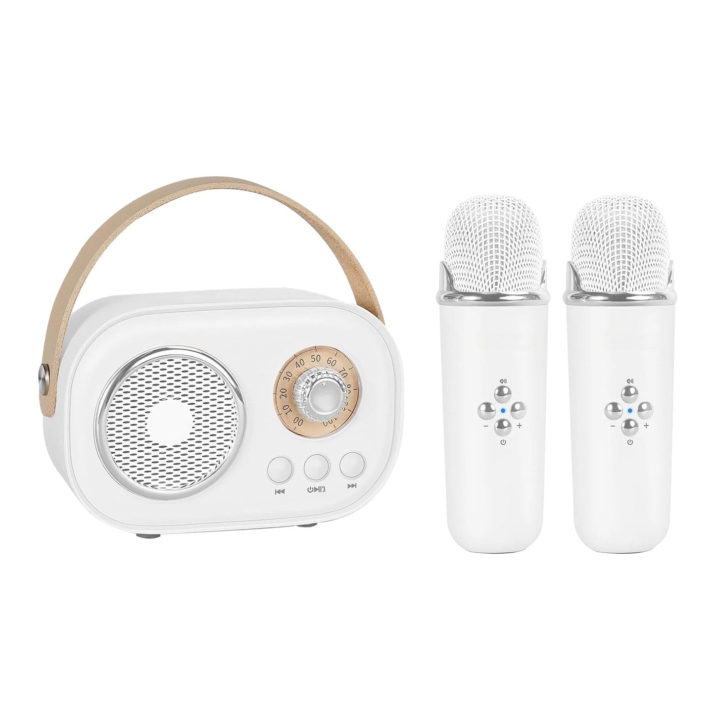 Bluetooth Karaoke Machine With Dual Microphones Kids Portable Singing Fun 14906003554630-1