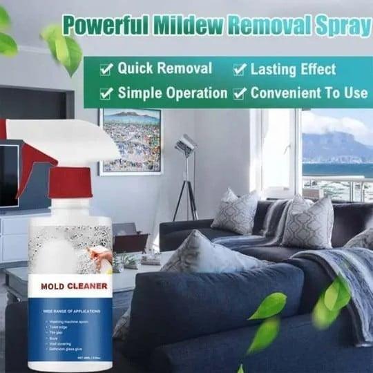 Moldaway Natural Power Against Mold And Mildew 10288475996506-1