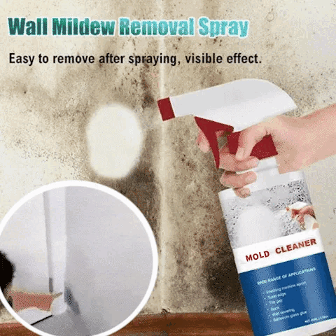 Moldaway Natural Power Against Mold And Mildew 10288475996506-1