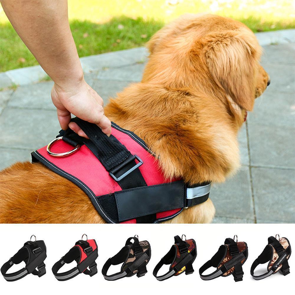Reflective All-In-One No Pull Dog Harness 6851984130148-1
