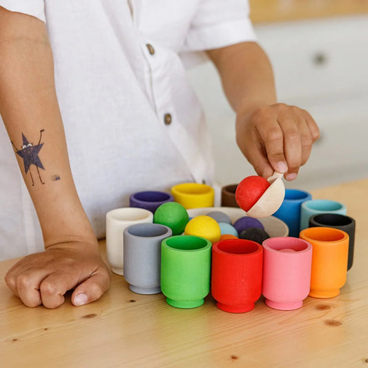 Wooden Color Sorting Toy – Promote Color Recognition and Fine Motor Skills