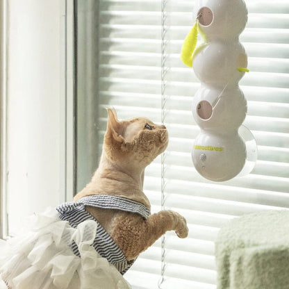 Ignite Your Cat’S Wild Hunt For Endless Play And Joy 11689711108364-1