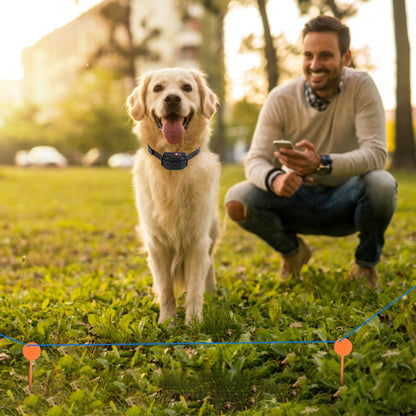 1Set Dog Fence System Pet Containment System With One Hundred Adjustable Levels IPX7 Waterproof Rechargeable Receiver Underground Fence For Small Medium Large Dog 9016328224988-1