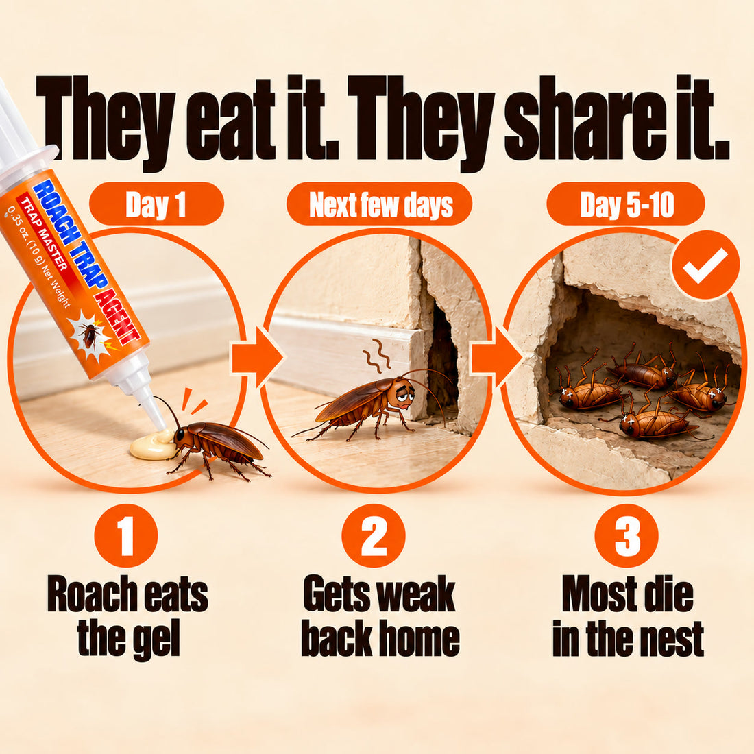 Roach eats the gel bait on day 1, gets weak back home over the next few days, and most die in the nest by day 5 to 10