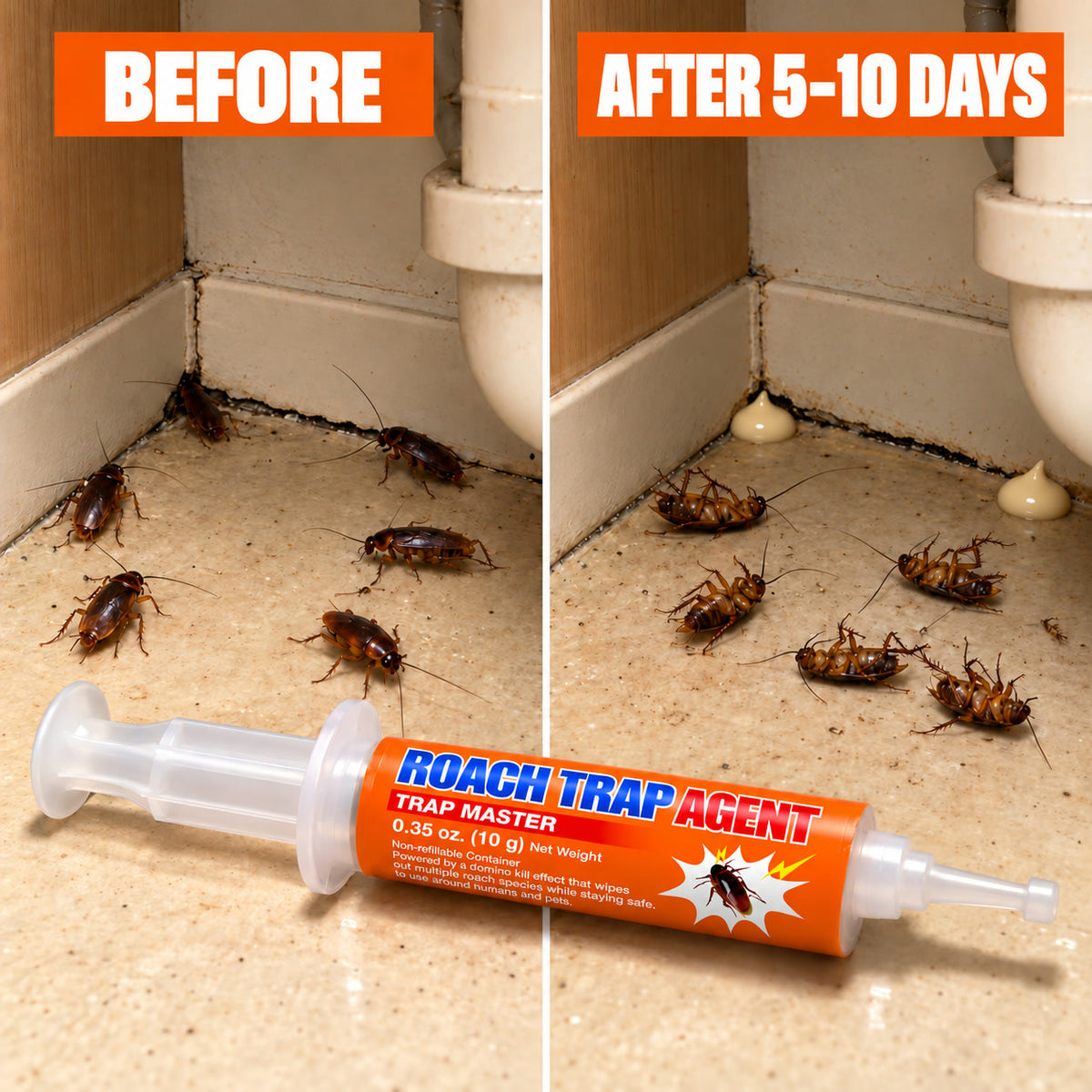 Before and after: roaches near a sink baseboard, then dead roaches around the gel bait