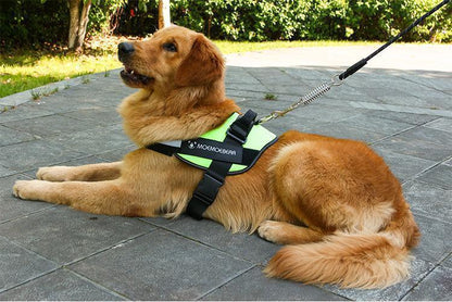 Reflective All-In-One No Pull Dog Harness 6851984130148-1