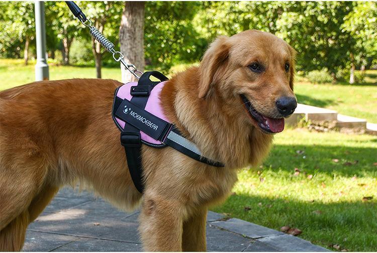 Reflective All-In-One No Pull Dog Harness 6851984130148-1