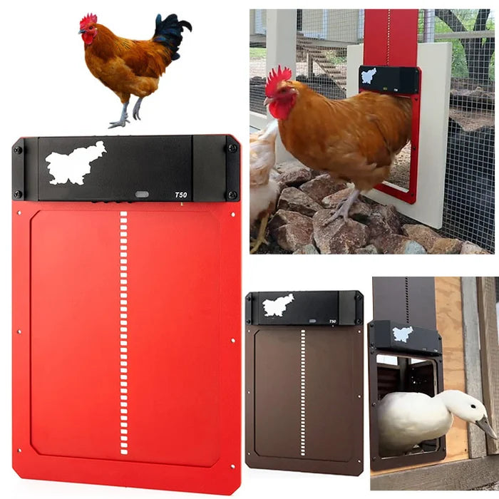 Smart Automatic Chicken Coop Door Opener For Safe Poultry Farming 8804230562073-1