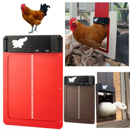 Smart Automatic Chicken Coop Door Opener For Safe Poultry Farming 8804230562073-1