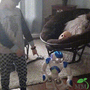 Interactive Intelligent Talking Robot Toy Educational Voice Control Companion 11458153578764-1