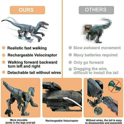 Remote Control Walking Dinosaur Toy With Sounds Lights Actions 14980682416454-1