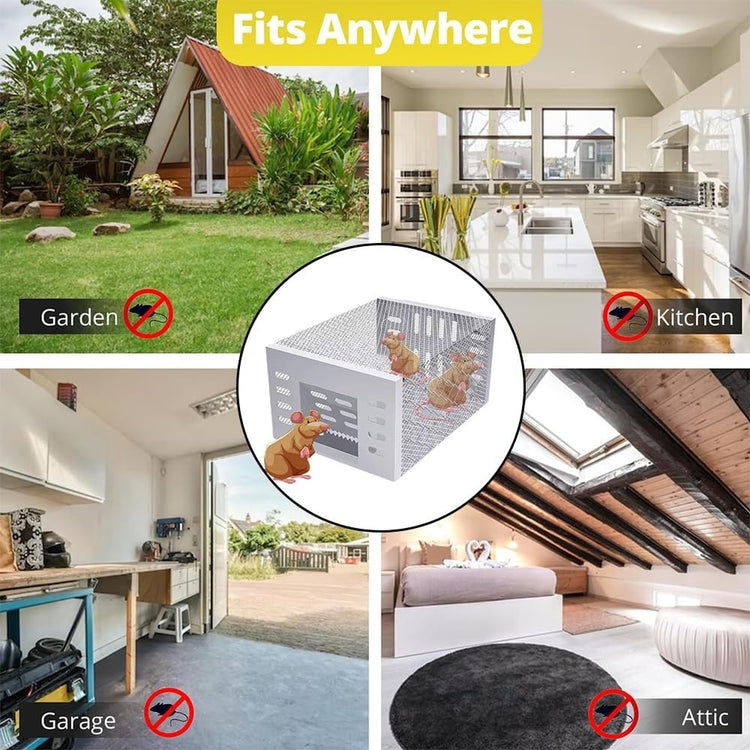 <h2>High Sensitivity Entry Door For Fast And Effective Trapping</h2>