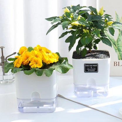 Automatic Self-Watering Flowerpot Transparent Base Reusable Indoor Outdoor Planter 14815617515846-1
