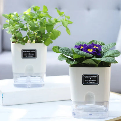 Automatic Self-Watering Flowerpot Transparent Base Reusable Indoor Outdoor Planter 14815617515846-1