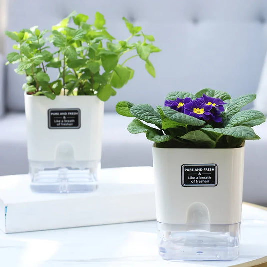 Automatic Self-Watering Flowerpot Transparent Base Reusable Indoor Outdoor Planter 14815617515846-1