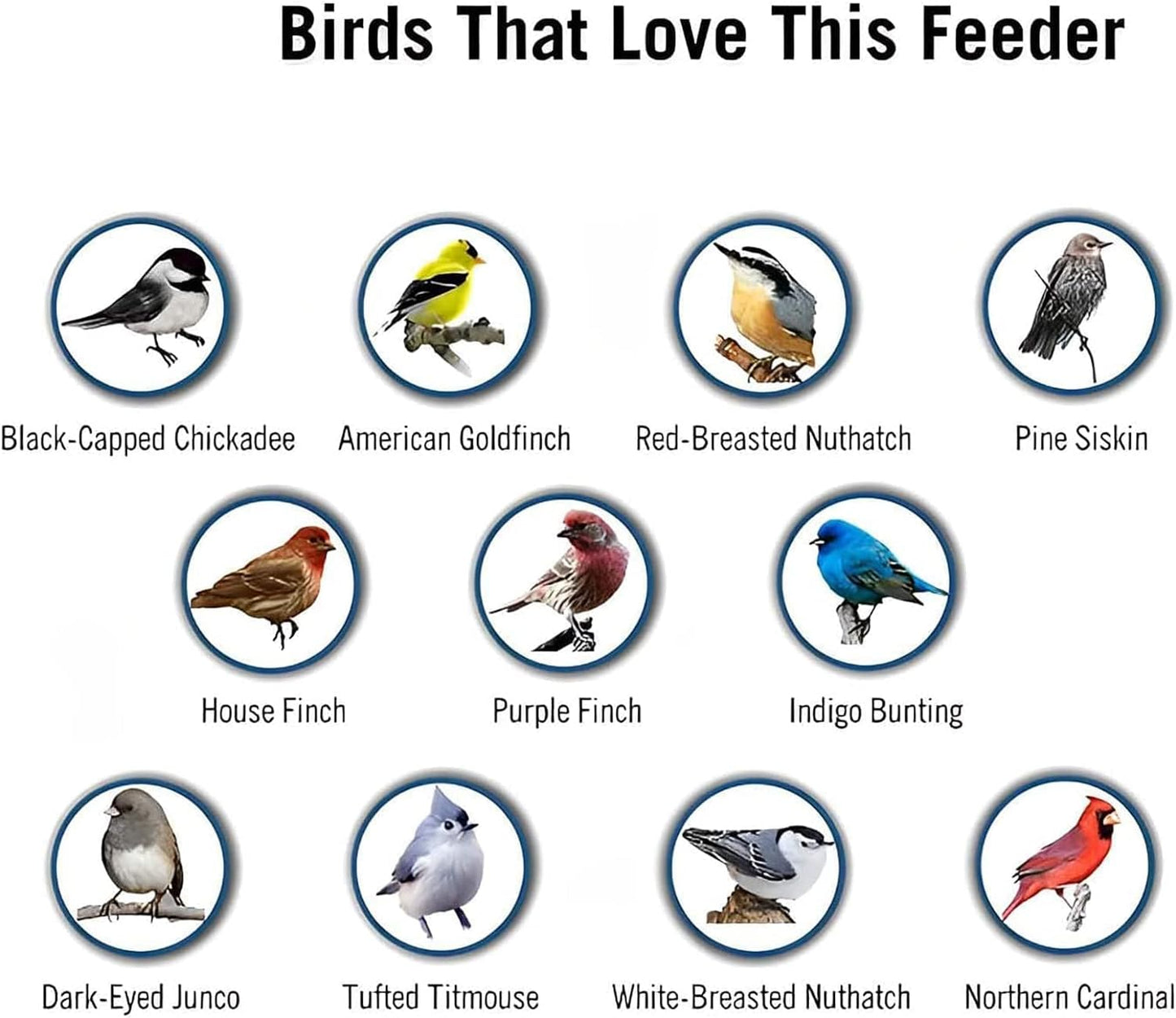 Squirrel-Proof Bird Feeder | Spinning Tube Feeder with 4 Ports & 5 lb Seed Capacity