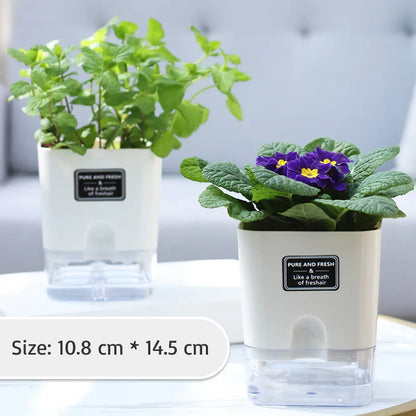 Automatic Self-Watering Flowerpot Transparent Base Reusable Indoor Outdoor Planter 14815617515846-1