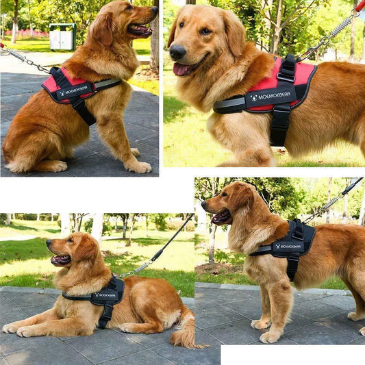 Reflective All-In-One No Pull Dog Harness 6851984130148-1