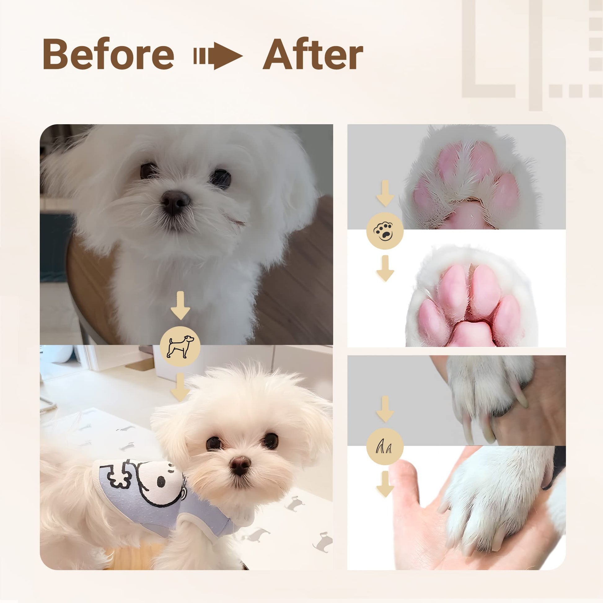 Pawfecttrim | One Kit, Four Tools — Perfect Grooming Made Simple! 10434778595674-1