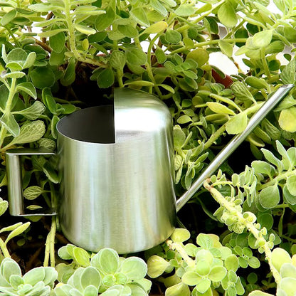 Stainless Steel Watering Can For Indoor & Outdoor Plants – 300Ml Long Spout 14815655690566-1