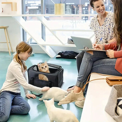 Airline-Approved Pet Carrier Bag – Breathable & Safe Travel Crate for Small Pets 9678290059606-1