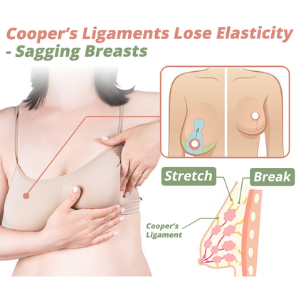 Enhancement Patch for Fuller Curves and Natural Firming Support 14906727891270-1