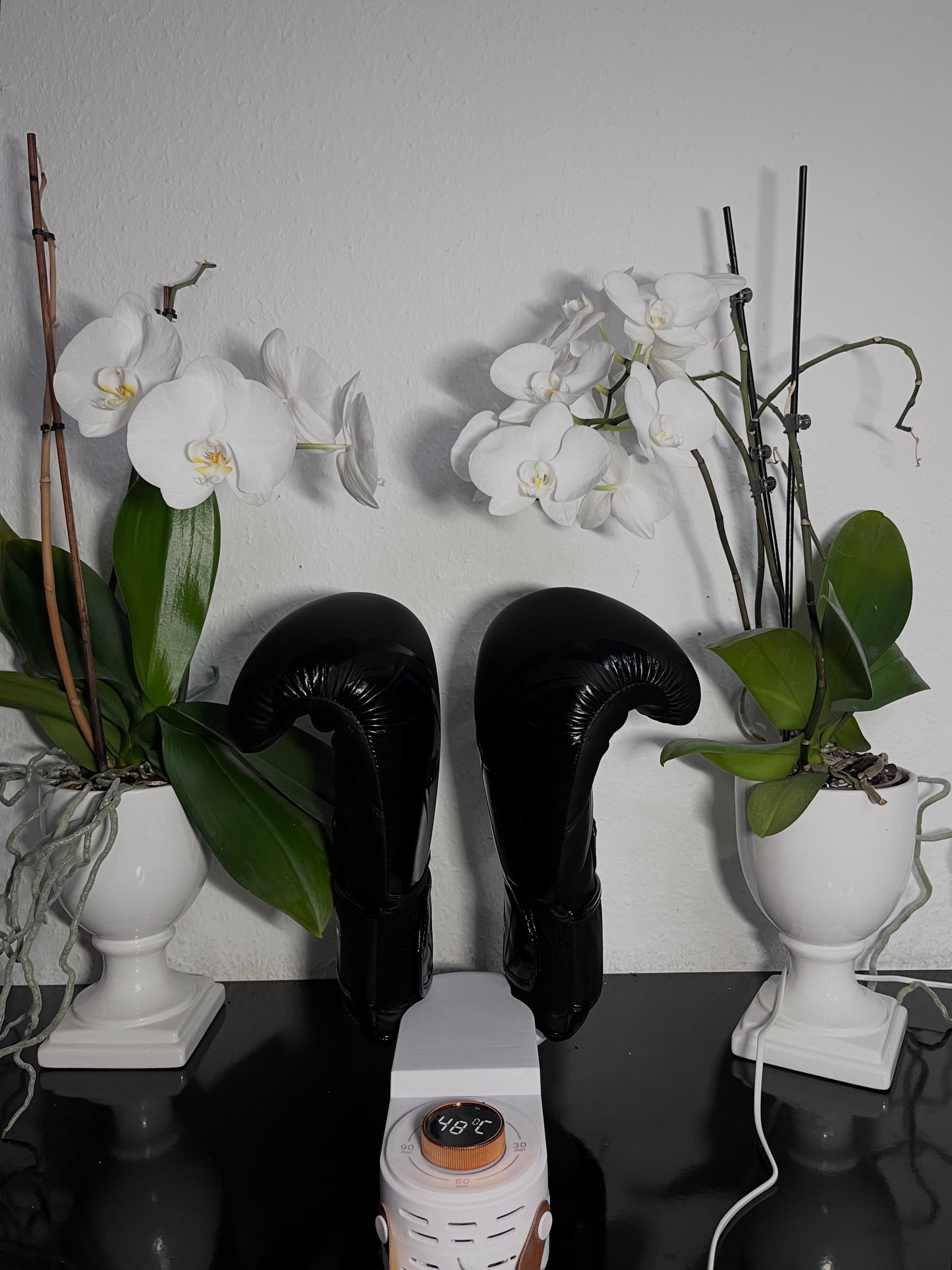 Smart Dryer - Hygienic Fast Drying Solution for All Shoes 15073636811078-1