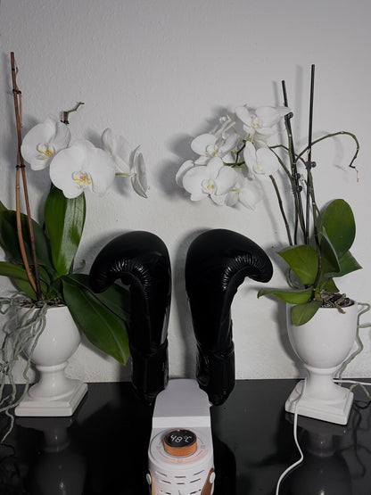 Smart Dryer - Hygienic Fast Drying Solution for All Shoes 15073636811078-1