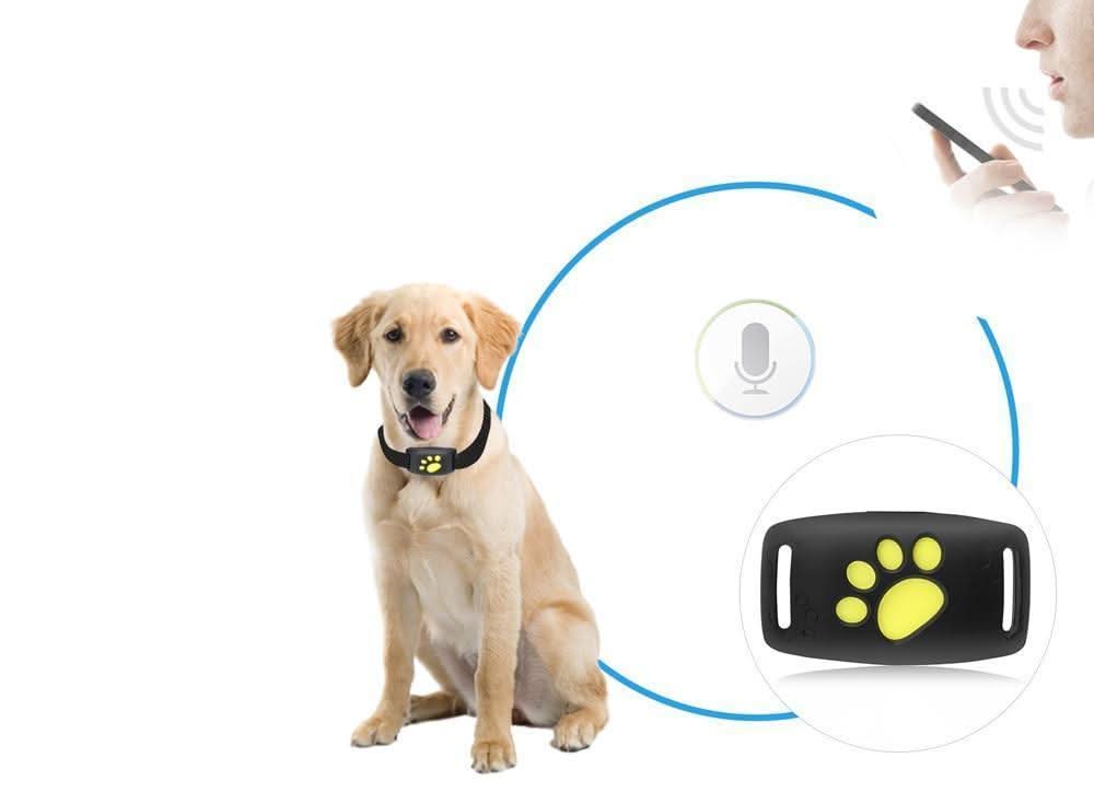 Cat Gps Tracker - Real-Time Tracking Without A Subscription 10452806304008-1