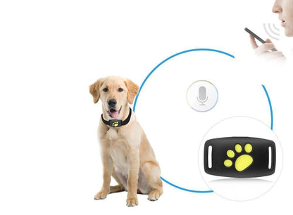 Cat Gps Tracker - Real-Time Tracking Without A Subscription 10452806304008-1