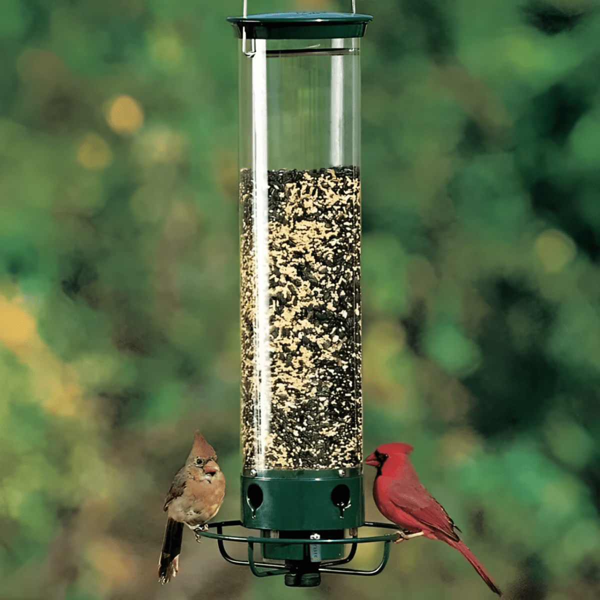 Nutriguard – Squirrel-Proof Birdhouse With Weight-Controlled Feeder 10481123983624-1