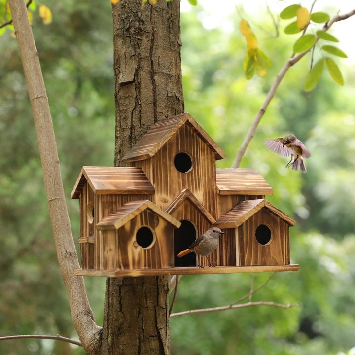 6 Hole Handmade Bird House For Nature Lovers 8545340948782-1