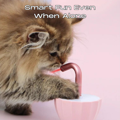 Interactive Cat Laser Toy Encourages Exercise Fun And Healthy Activity 14988063080774-1