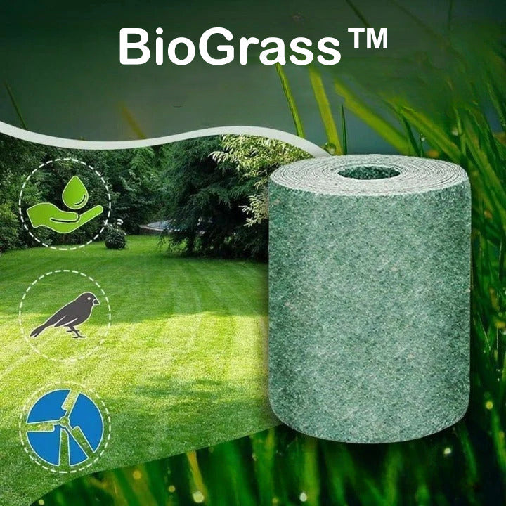 Eco Friendly Lawn Alternative Replaces Grass For Greener Outdoor Solution 14902377873734-1