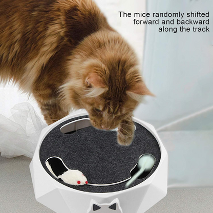 Interactive Cat Toy for Fun Exercise and Smart Playtime Stimulation 15051818434886-1