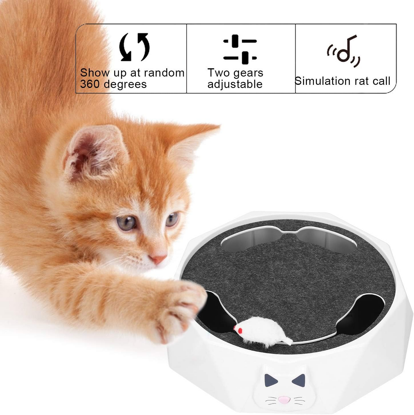 Interactive Cat Toy for Fun Exercise and Smart Playtime Stimulation 15051818434886-1